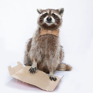 Meet your Posher, Aaron